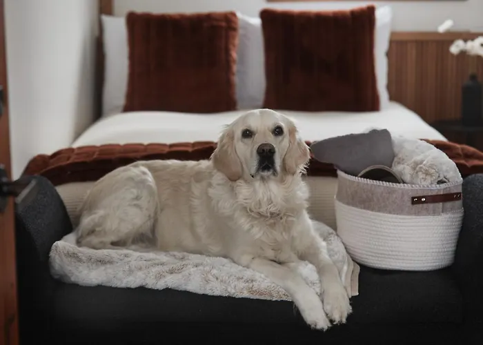 Motel Boutique Hygge