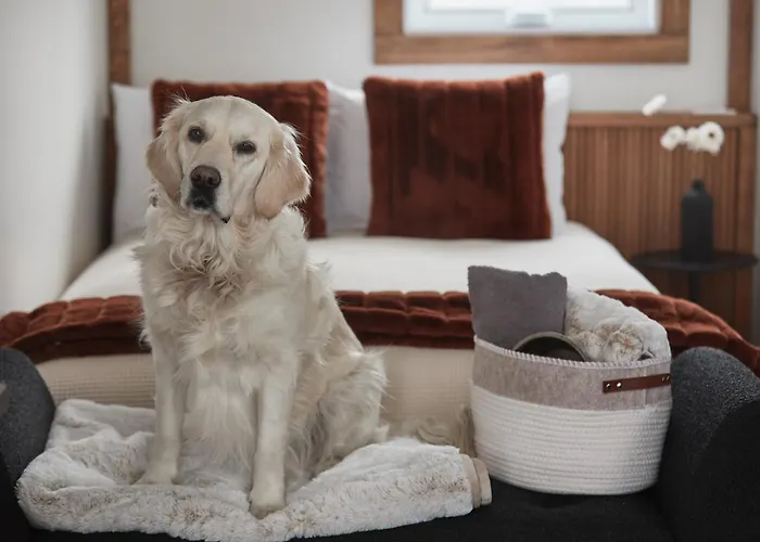 Motel Boutique Hygge